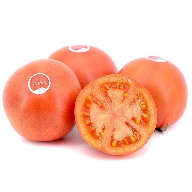tomate amela